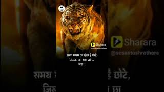 👉🏻®👈🏻 Lyrical ✍️ Lyrics स्टैट्स WhatsAppशायरी 📝