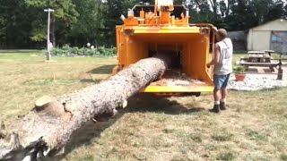 Dangerous Fastest Wood Chipper Machines Working, Incredible Powerful Tree Shredder Machine Working