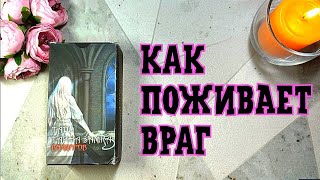 ⚖️🔥Что происходит в жизни у врагов? 🤯👍