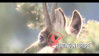 Hunting in Europe