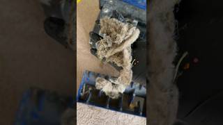 Extreme CRB Cleaning! Removing Dog Hair, Soil, and Dirt in CHUNKS