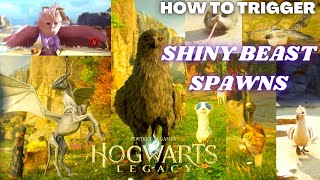 Hogwarts Legacy - How To Spawn Shiny Beasts - How To Trigger A Shiny Spawn - Catch Shiny Beasts