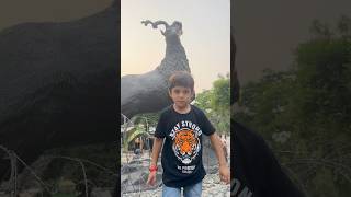 Visit to lahore zoo #lahore #zoo #animals #Viral #ytshorts #Shorts