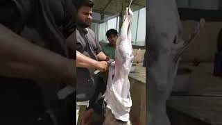 #goat_cutting_skills #goat #goats #goat_cutting #goat_skin_remove