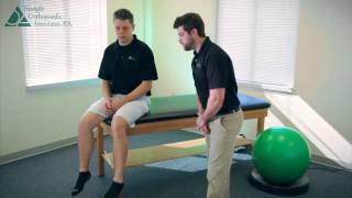 Sitting Knee Flexion