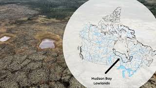 Impacts of Permafrost Thaw in the Hudson Bay Lowlands by Adam Kirkwood (WCSC Weston Fellow 2021)