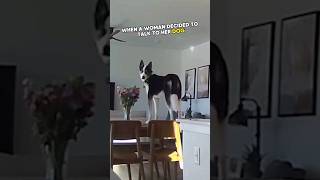 Talks with her dog through CCTV 🤯