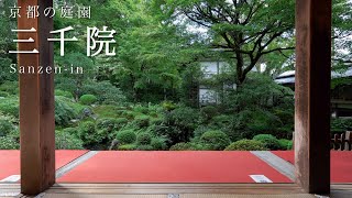 【京都の庭園】三千院｜Sanzen-in【Kyoto Japanese Garden】