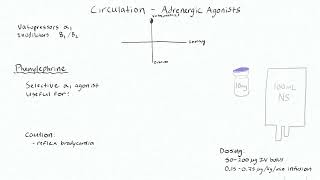 Adrenergic Agonists 1 - Comparing Vasopressors and Inodilators