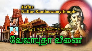 Nallur Kandaswamy Kovil in Jaffna   Velayutha வேலாயுதா