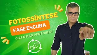 Fotossíntese - Fase Escura