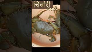 चिंबोरी 😋 Mudcrab 🦀 #shorts #crab