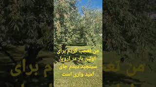 ارگر شمادوستان گرامی در اروپا سینجید دیده اید به ماهم بگید