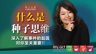 什么是种子的思维，深入了解事件的起因对你至关重要 | Chantel Ng【SeedWisdom® 种子法则®】