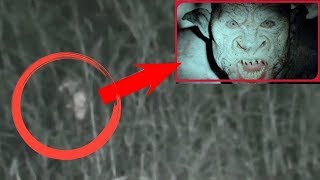 Unknown Creatures and Paranormal Activities Recorded on Video