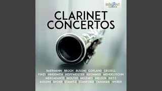 Concert Pieces No. 1 in F Minor, Op. 113: III. Allegro molto