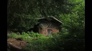 Orage en forêt 1 - Sons de la nature - 10 HEURES