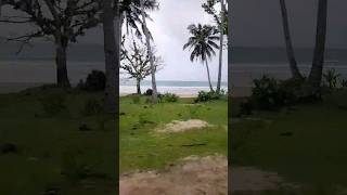 Coastline of Sabang, Puerto Princesa, Palawan