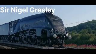 Sir Nigel Gresley 60007