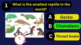 How Good Is Your Knowledge of ANIMALS? 🦁🐧✅ General Knowledge Trivia Quiz