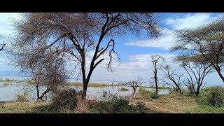 BEST OF KENYA TANZANIYA TOUR 2024