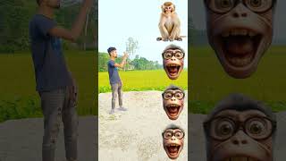 बंदर मामा आए पेंट पजामा ले देखो कुत्ता आया फिर बिल्ली आई monkey cat dog funny VFX viral 😁