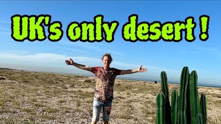 UK’S ONLY DESERT !! M dot R - Cook & Vibe