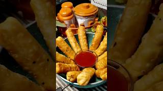 Easy Spring Roll Recipe! 🤤 Quick & Delicious!