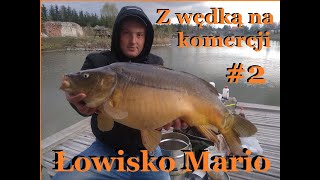 Z wędką na komercji #2  Łowisko Mario. Piękny karp na metodę