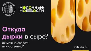 Откуда дырки в сыре? И можно ли их сделать искусственно? 🧀🧐