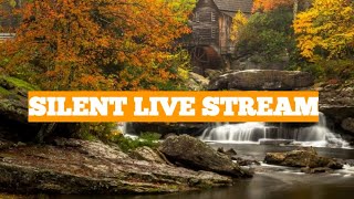 first live stream happy sunday//wh support//small youtuber support//come in guys to support