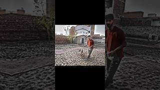 👆 German shepherd 😲 ft shehr mein dihat video editing #funny #loin #firstvideo