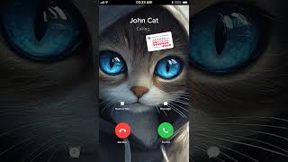 Bro john cat is calling