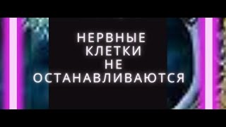 Нервные клетки не останавливаются | Алексей Сивухин