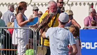 black mountain falconry USk show sept 9th 2023