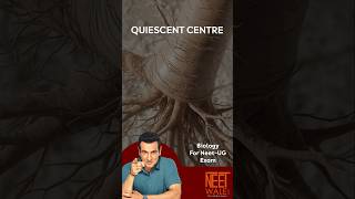 Quiescent Centre in root meristem | site of storage of food | NEET Biology | #neet #biology #science