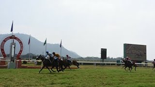 #mysore  | #@HORSERACINGNETWORK.| MYSORE - 21 Sep 2023 | MYSOUR 𝙷𝙾𝚁𝚂𝙴 𝚁𝙰𝙲𝙸𝙽𝙶 𝚂𝙴𝙻𝙴𝙲𝚃𝙸𝙾𝙽 / 𝚃𝙸𝙿𝚂.