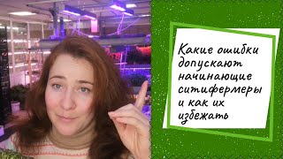 Какие ошибки допускают начинающие ситифермеры и как их избежать? #микрозелень #ильинскиепроростки