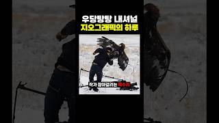 우당탕탕 ‘내셔널 지오그래픽’의 하루 ㅋㅋ