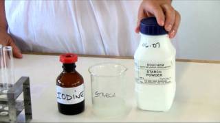 Video 1-TEST FOR STARCH (Afrikaans).mov