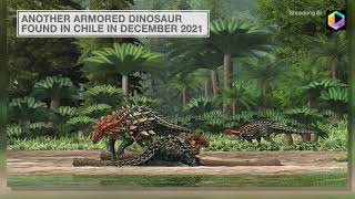 New Armored Dinosaur Species Unearthed in China