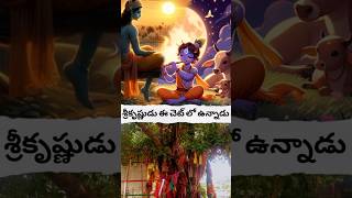 శ్రీకృష్ణుడు ఈ చెట్టు లో ఉన్నాడు? #viralvideo #shorts #avtelugutalks