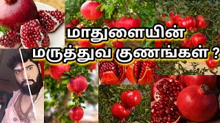 மாதுளையின் மருத்துவ குணங்கள் ? ஓம் நமசிவாய போற்றி போற்றி ஓம் நமசிவாய போற்றி போற்றி ஓம் நமசிவாய...