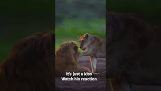 Just A Kiss!!  #shorts #comedy #funny #short