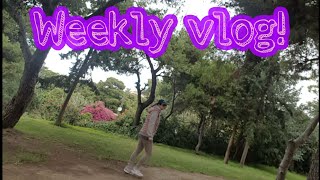 Weekly Vlog!