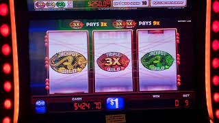 Triple Wild Dragon 🐉 @ Kickapoo Lucky Eagle Casino