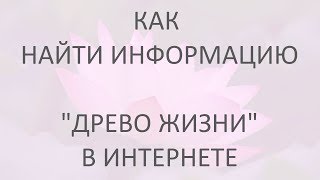 Как найти информацию "Древо Жизни" в интернете