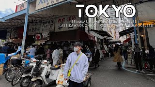 TOKYO Food Trip! 🇯🇵 | Tsukiji Market x TeamLab x Lake Kawaguchiko x Gotemba Outlets | Ru Vlogs