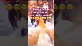 Umeksena ang isang manok sa kalagitnaan ng clearing operation @Papapau #shorts #viral #shortvideo