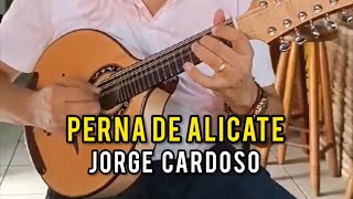 PERNA DE ALICATE (Jorge Cardoso) | JORGE CARDOSO - Bandolim